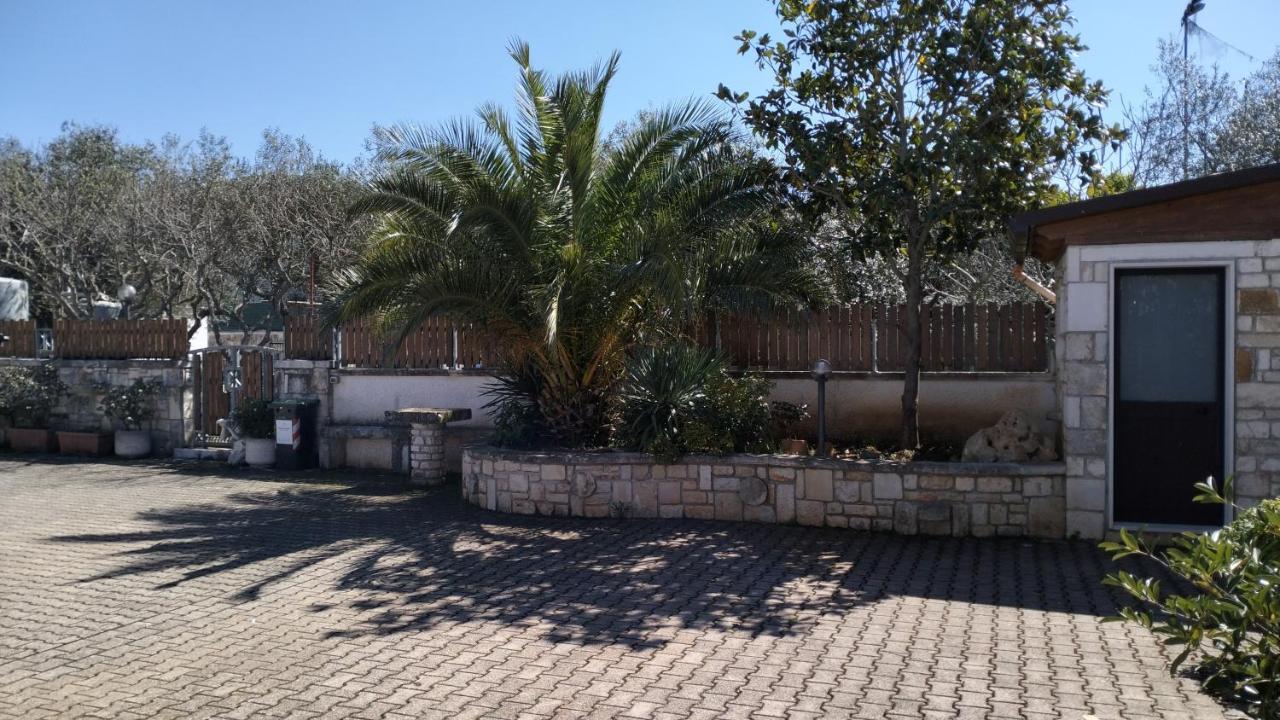B&B Caffe Noci Bagian luar foto